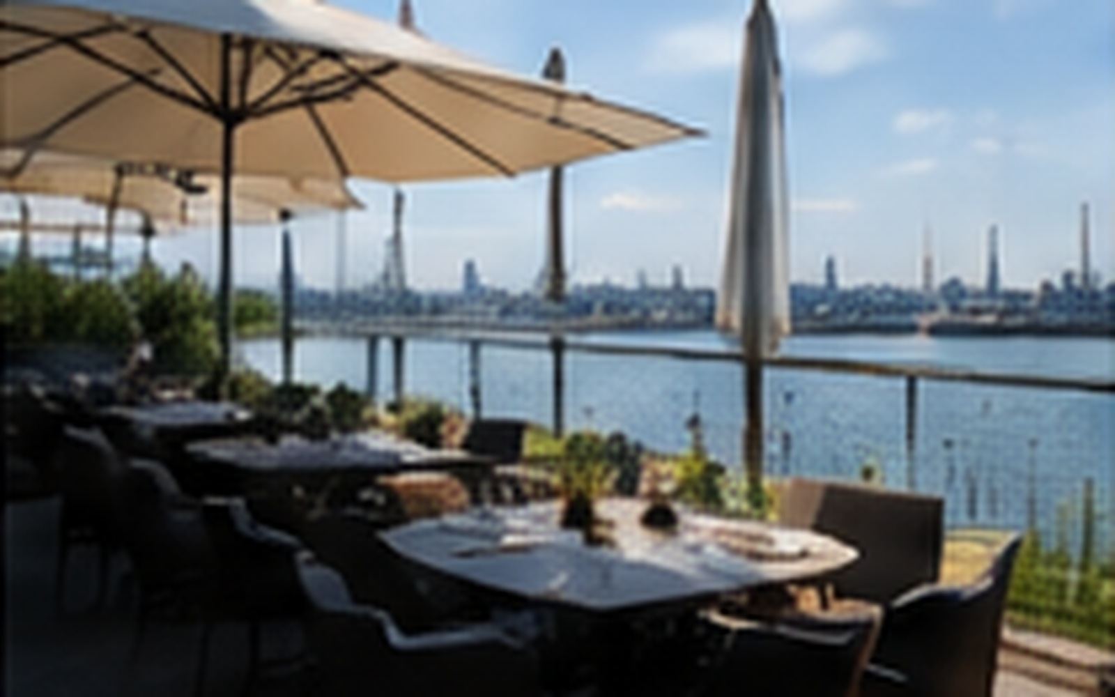 Elbdeich Hamburg