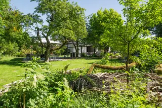 Großer Garten